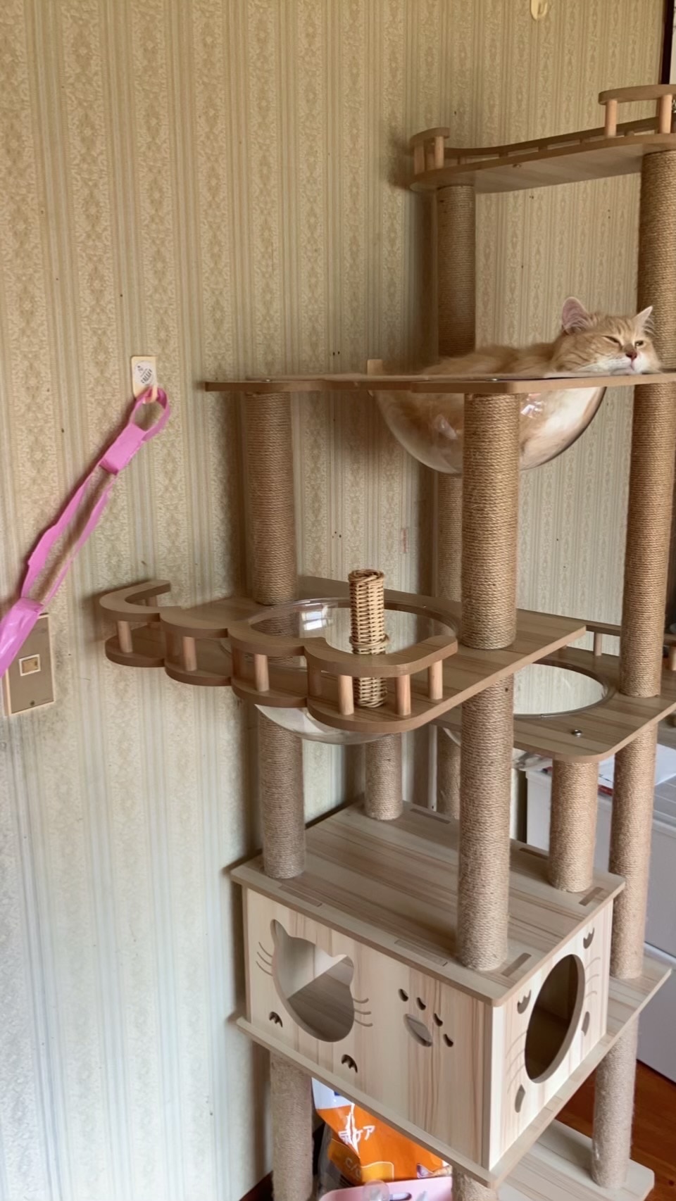 AORTD キャットタワー 木製 大型 据え置き おしゃれ 多頭飼い 大型猫 宇宙船 高さ182cm 中型 ペット用品  キャットタワー 木製キャットタワー AORTD レビュー画像10