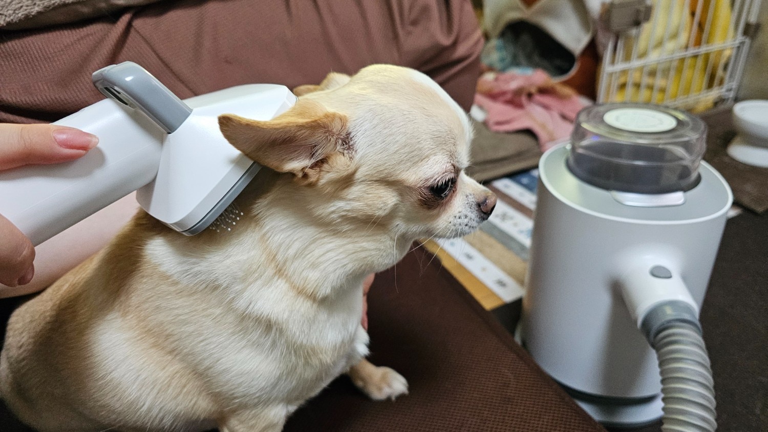 クーポンで9,690円 即納 48dB超静音 Neakasa P0 Lite グルーミング掃除機 ペット掃除機 犬 猫  ペットグルーミング Neakasa P0Lite レビュー画像11