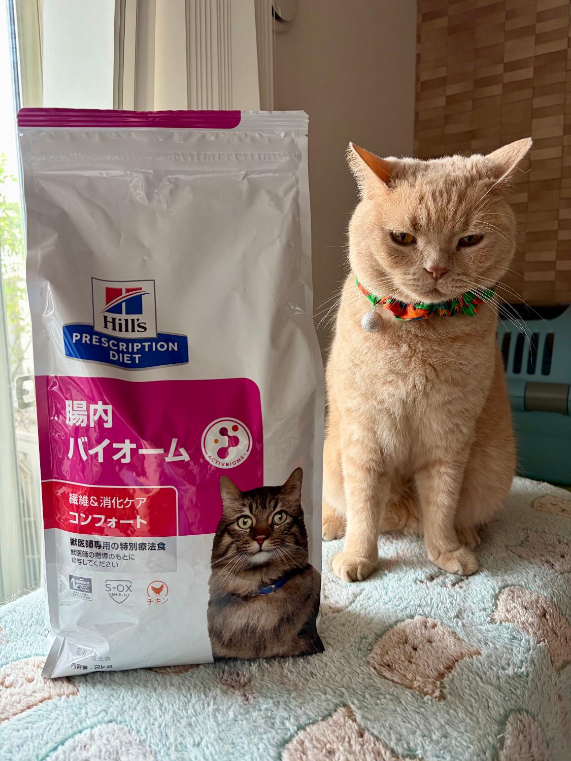 楽天市場】ヒルズ 食事療法食 猫用 腸内バイオーム 繊維＆消化ケア