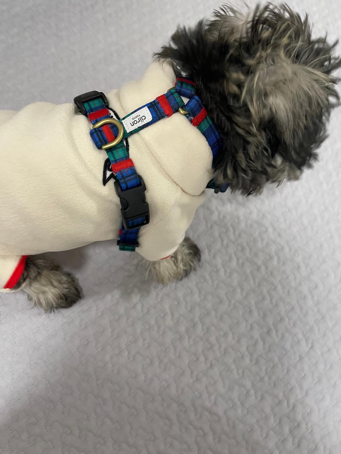 楽天市場】【 犬 ハーネス おしゃれ 抜けない 負担が少ない 小型犬