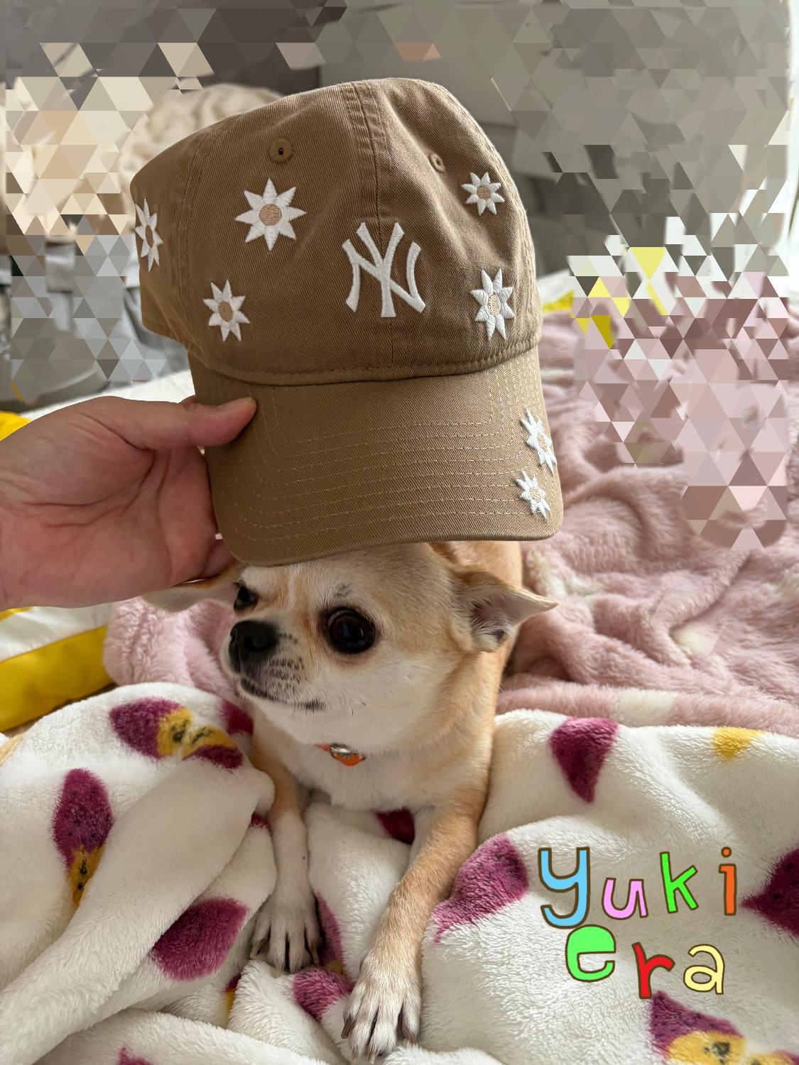 楽天市場】LEPSIM 《ゆきは企画》【NEW ERA】フラワー刺繍キャップ