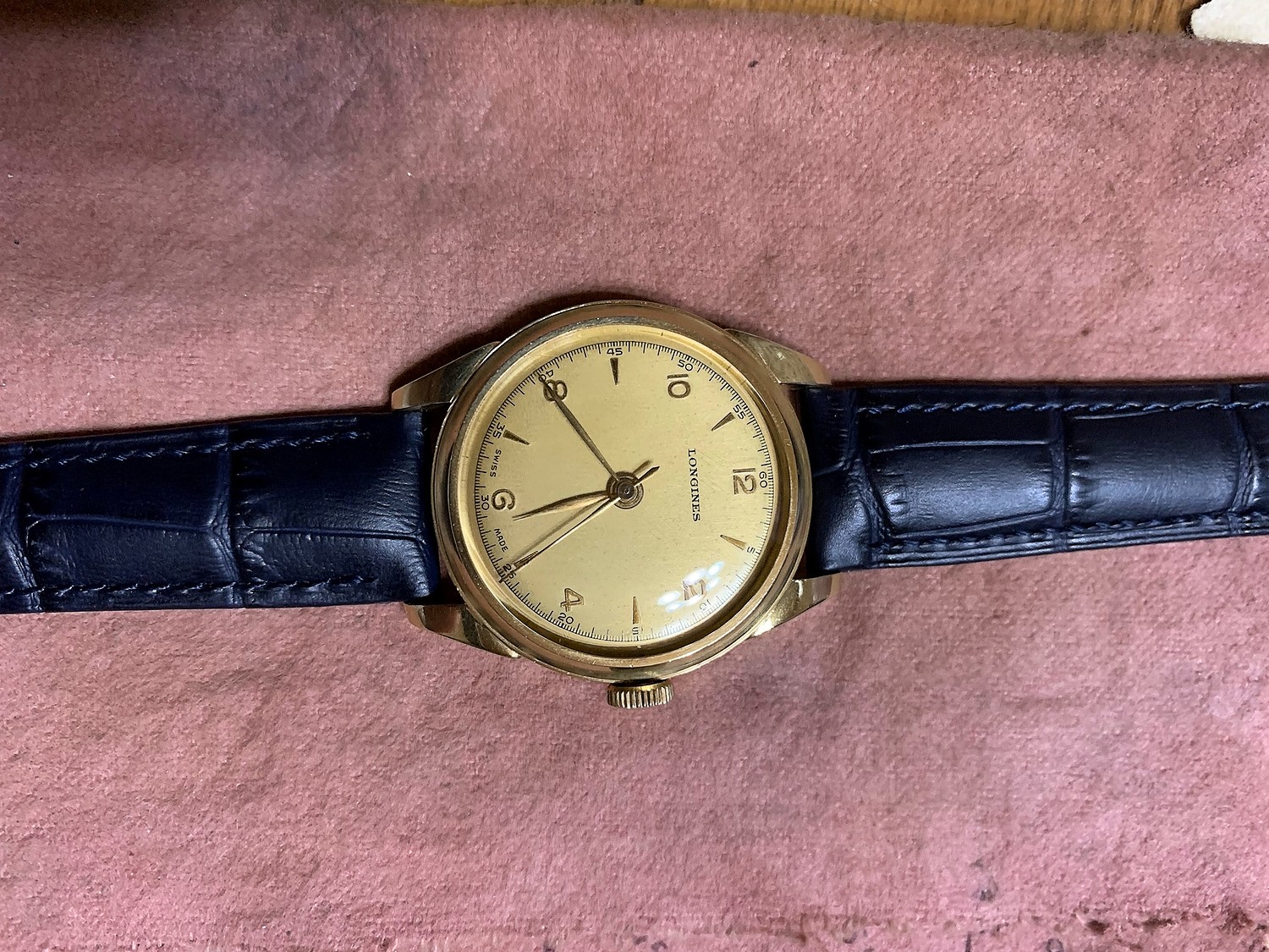 腕時計 ベルト HIRSCH ヒルシュ Duke デューク アリゲーター型押し レザー革(時計ベルトの専門店クロノワールド)  みんなのレビュー·口コミ