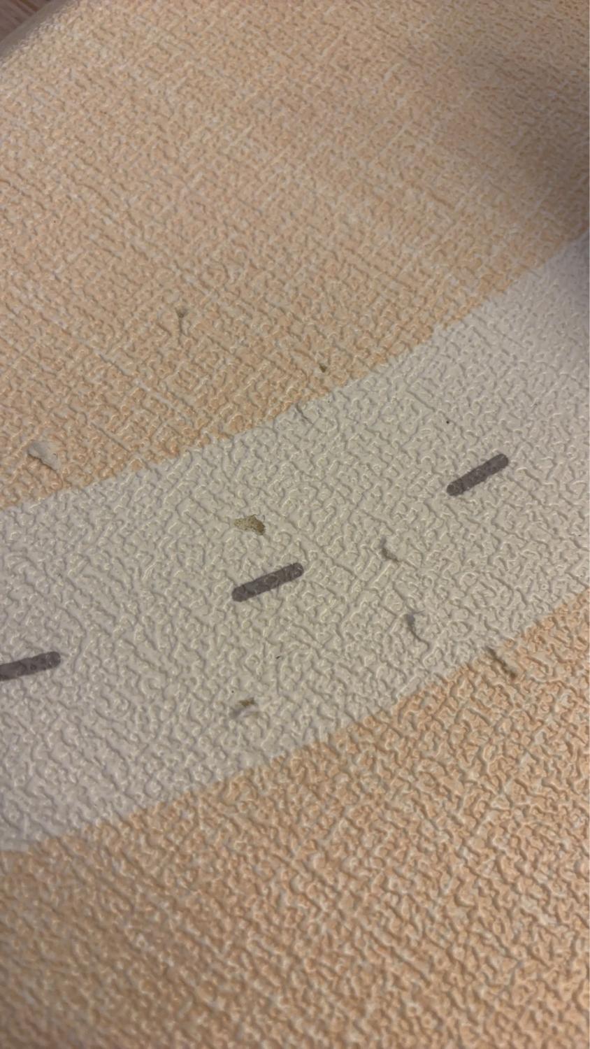 popomiプレイマット もちもちプレイマット ベビーマット口コミ レビュー画像24