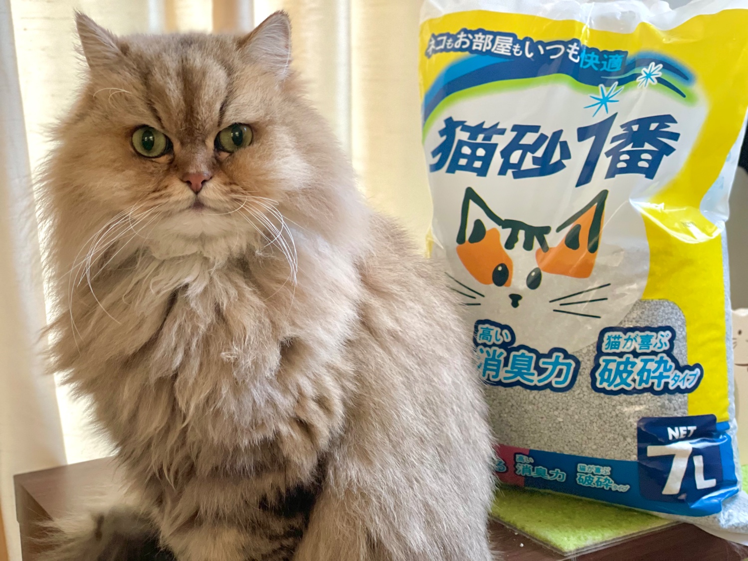 楽天市場】[本]【クニミネ】固まる猫砂 猫砂1番 7L(ペットランド