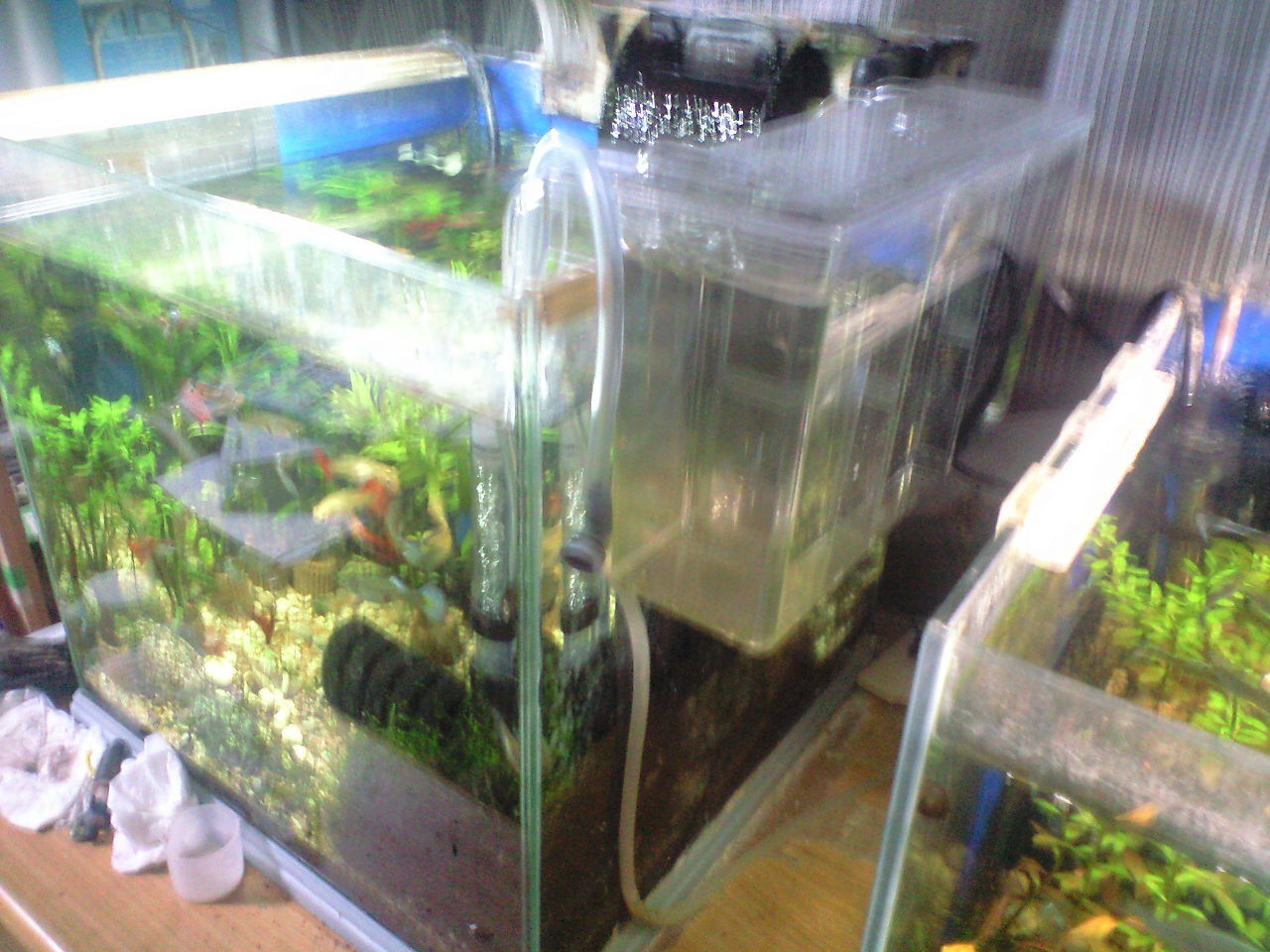 楽天市場 スドー サテライトスリムm 関東当日便 Charm 楽天市場店 みんなのレビュー 口コミ