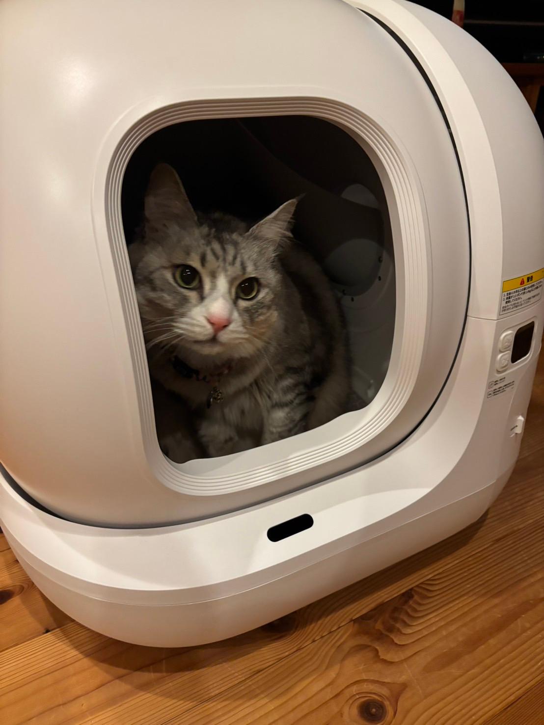 PETKIT 猫 自動トイレ 自動洗浄 PETKIT PuraMax2 猫自動トイレ レビュー画像3