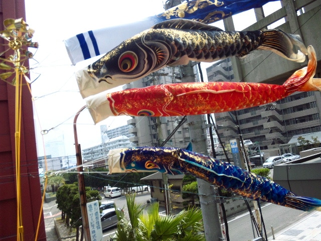 鯉のぼり こいのぼり 初節句 レビュー画像18