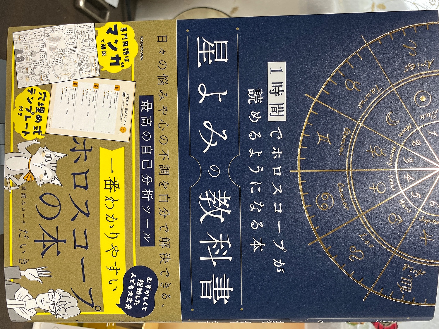 楽天市場】星よみの教科書 1時間でホロスコープが読めるようになる本