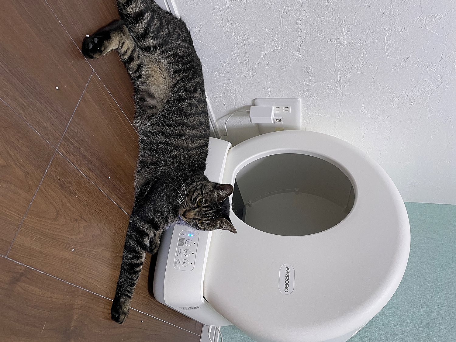 AIRROBO 猫ちゃん自動トイレ - 東京都のその他