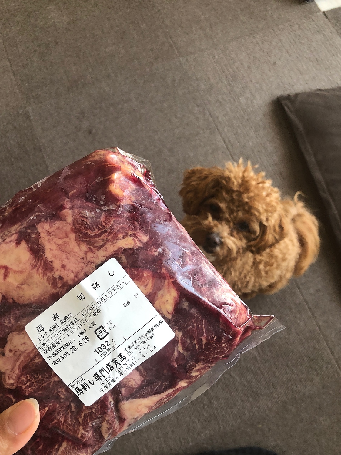 楽天市場 馬刺し専門店の馬肉 切落し 1kg ペット赤身 ペットフード 翌日配達 あす楽 馬刺し専門店 天馬 みんなのレビュー 口コミ