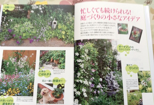 楽天市場 忙しくても続けられる キヨミさんの 庭づくりの小さなアイデア 長澤淨美 楽天ブックス 未購入を含む みんなのレビュー 口コミ