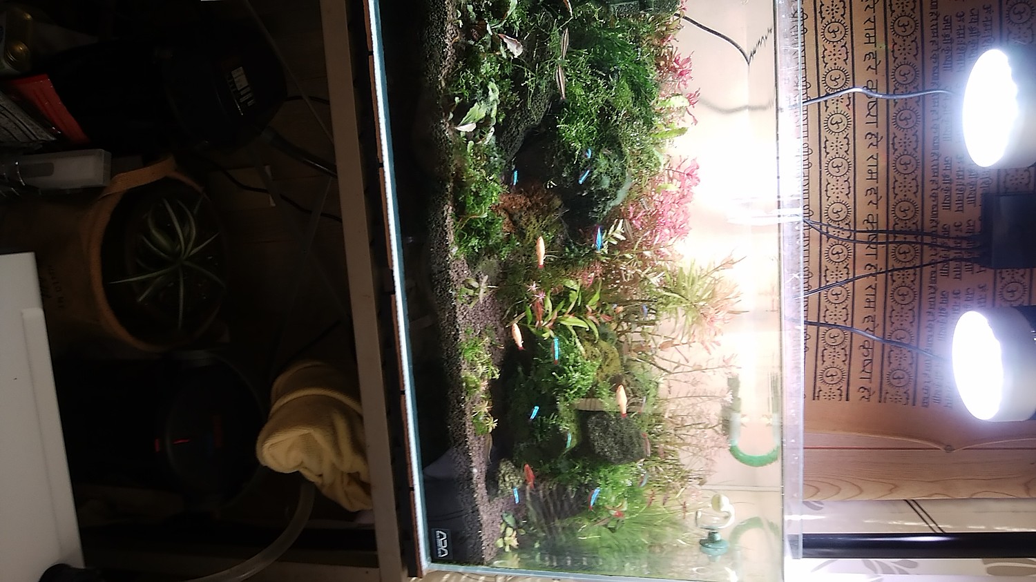 商い 植物育成用RGB LEDライト ソラリス8000CT ivv-jva.com