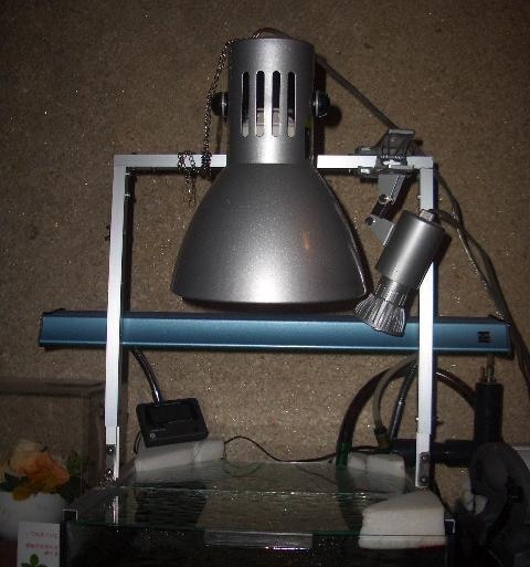 アクアリウム カミハタ ヴォルテス 照明 30w 本体 カミハタ ヴォルテス 30W ホワイト 水槽用照明 ライト