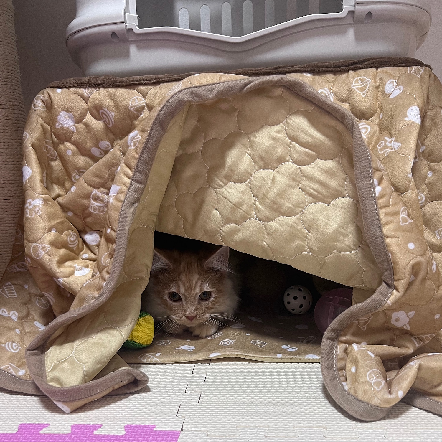 楽天市場】マルカン 猫用こたつ 遠赤外線にゃんこの和みこたつ（にゃ 