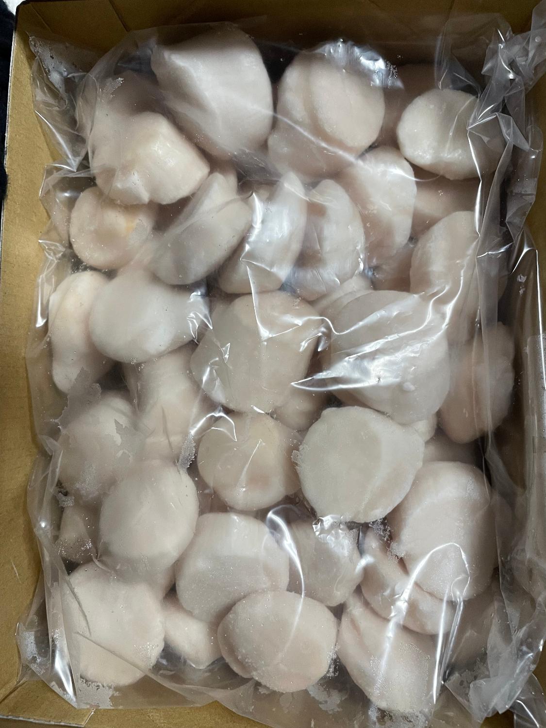 購入者レビュー写真