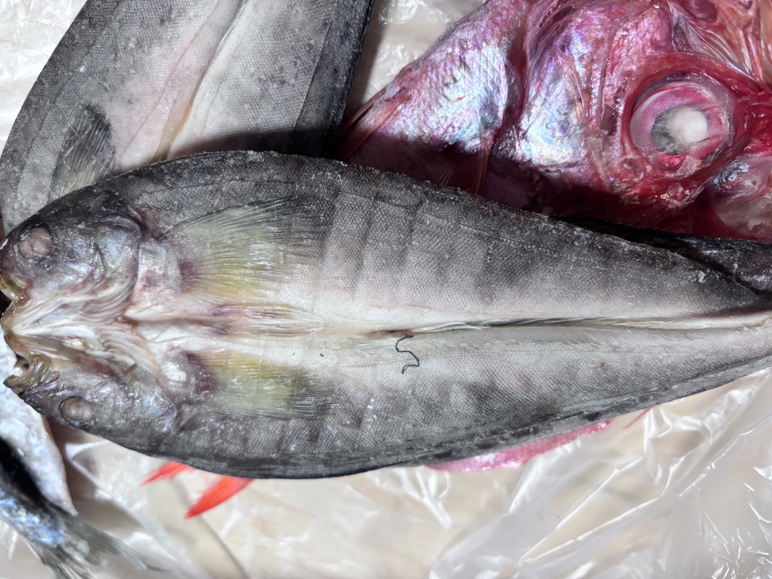 ふるさと納税 訳あり干物 沼津干物 レビュー画像13