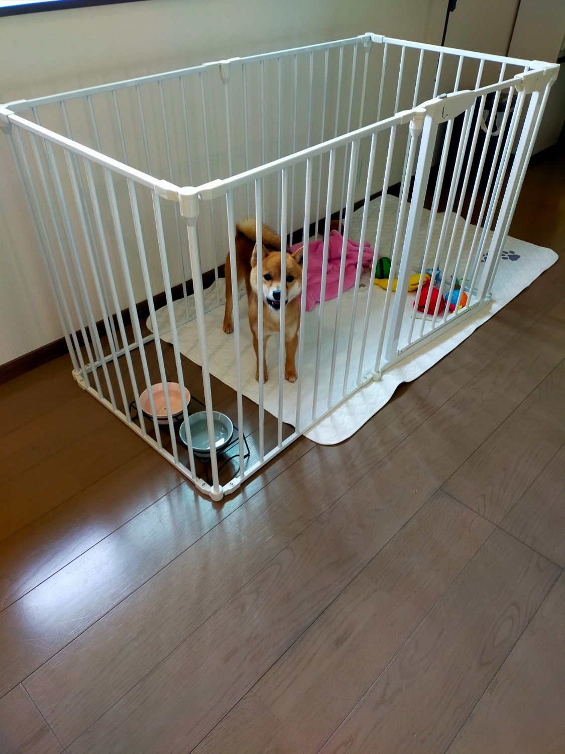 ★ポイント5倍★ 犬 ゲージ おしゃれ ｜ ペット サークル ケージ ペットサークル ペットゲージ ドッグサークル ドッ 犬用ケージ citydogレビュー シンプルモダンケージ レビュー画像7