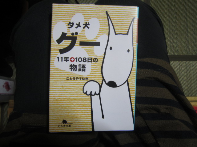 買い物 ダメ犬グー 11年+108日の物語