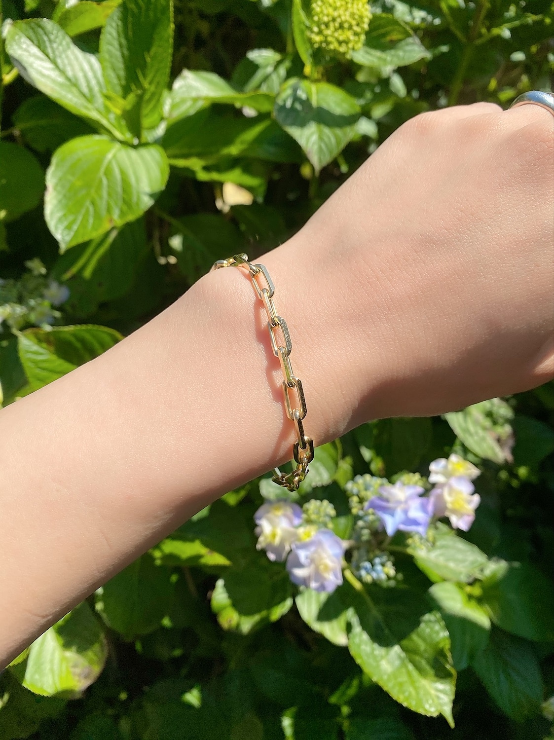 500c8906cd2ece9eedf64ecb82b2d0