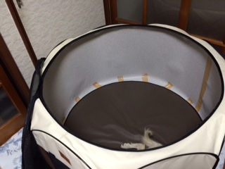 楽天市場 ポイント5倍 24日13 59まで 犬 ゲージ ペットサークル ケージ 折りたたみ サークル 犬 ケージ いぬ メッシュサークル 折り畳み おしゃれ Lサイズ 介護 徘徊 屋外 アウトドア 防災 避難 小型犬用 中型犬用 屋内 室内 小動物用ケージ ラビットケージ Pet館