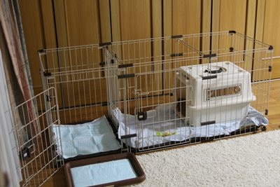 楽天市場 4 7まで 最大400円offクーポン配布中 ペティオ トイレのしつけができる ドッグルームサークル 2way 小型犬用 中型犬用 サークル ケージ ゲージ 同梱不可 ペッツビレッジクロス ペット通販 みんなのレビュー 口コミ