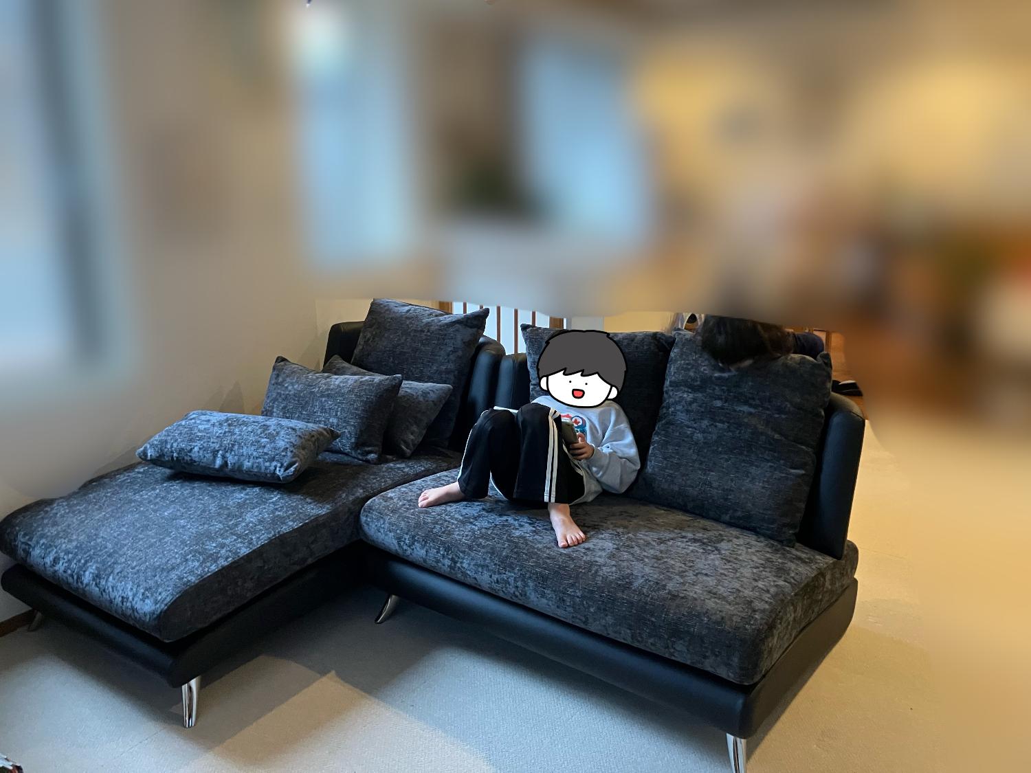 ソファー カウチソファ 3人掛け ソファセット ペット対応 ハーフカバーリング 2人掛け コーナーソファ カウチ l字  アルモニア カウチソファ ソファレビュー レビュー画像10