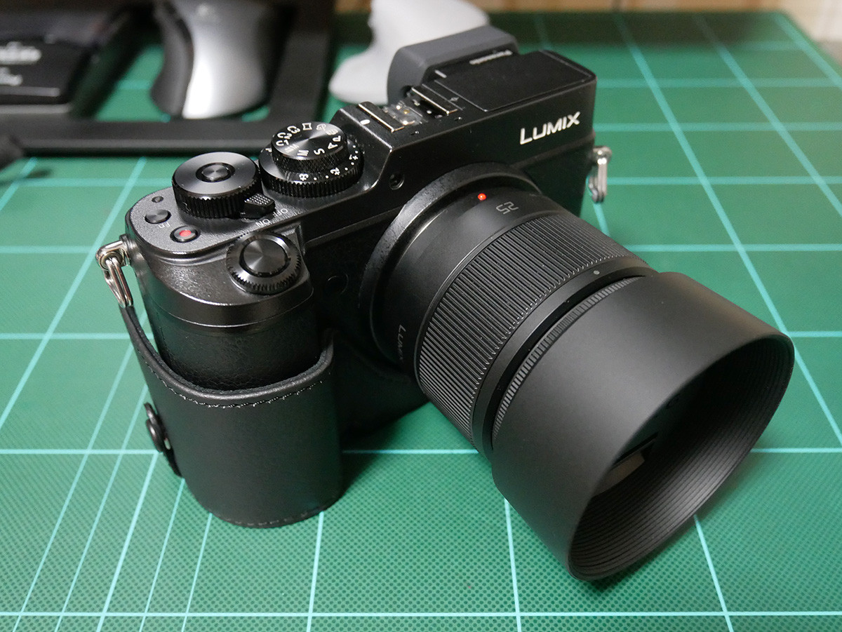 楽天市場】パナソニック Panasonic LUMIX ルミックス GX8 DMW-BCSK5 ボディケース ストラップキット  【ギフト対応不可】(ギフトマン 楽天市場店) | みんなのレビュー・口コミ