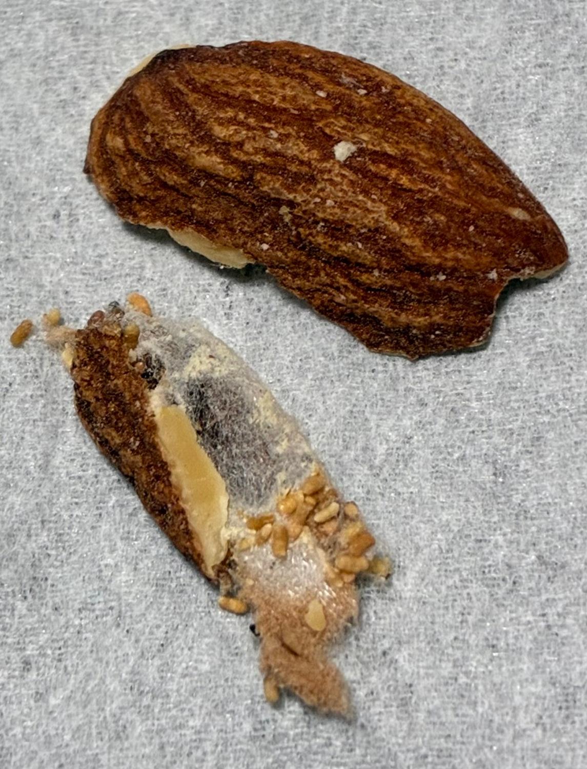 4種ミックスナッツ 850g 産地直輸入 無塩 添加物不使用 植物油不使用 素焼き ミックスナッツ ミックスナッツ口コミ 無塩ナッツ レビュー画像4