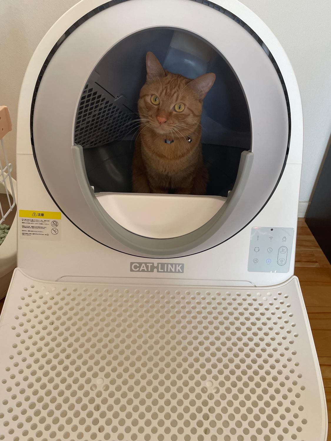 楽天市場】【20％OFFクーポン利用で49,760円(2/24~3/2) 】最短即日発送