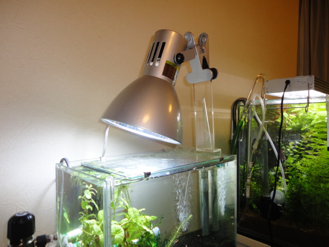 訳ありセール 格安 ヴォルテス 水槽用照明 ライト５個セット 魚用品 水草 Carbonfreedining Org