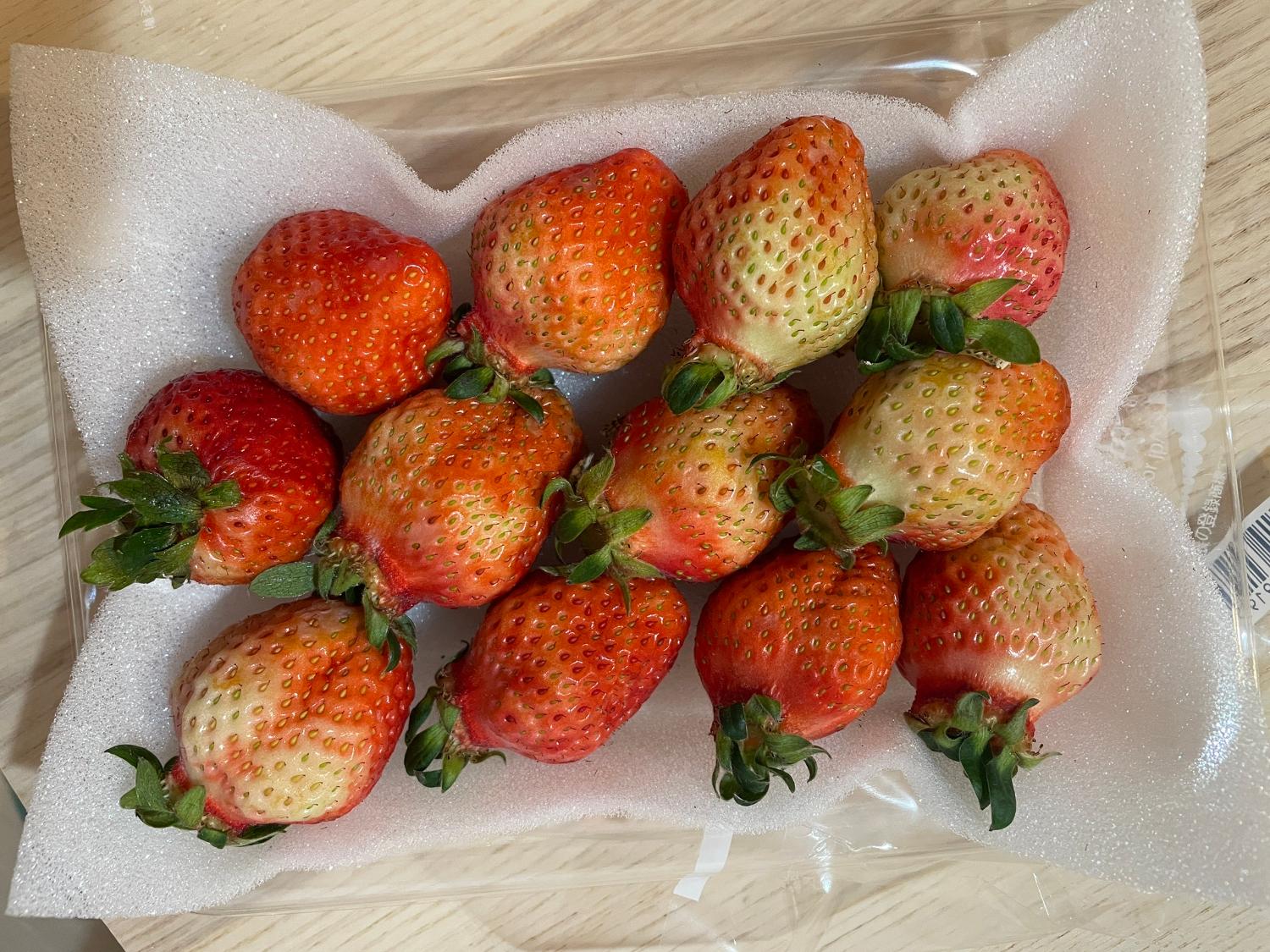 ふるさと納税 あまおう いちご レビュー画像4