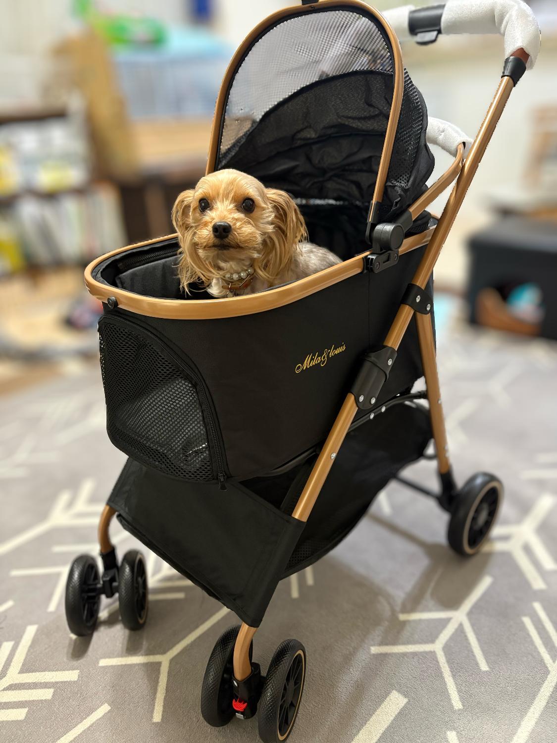 楽天市場】【ハンドル高さ調節可能】MILA&LOUIS ペットカート分離型 犬