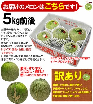楽天市場】メロン 青肉 庄内 山形県産 砂丘メロン 訳あり 産地直送 4