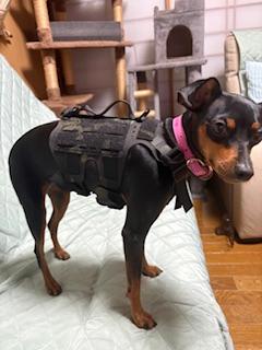 楽天市場】【KILONINER日本公式ショップ】 M5 Light Vest（M5ライト