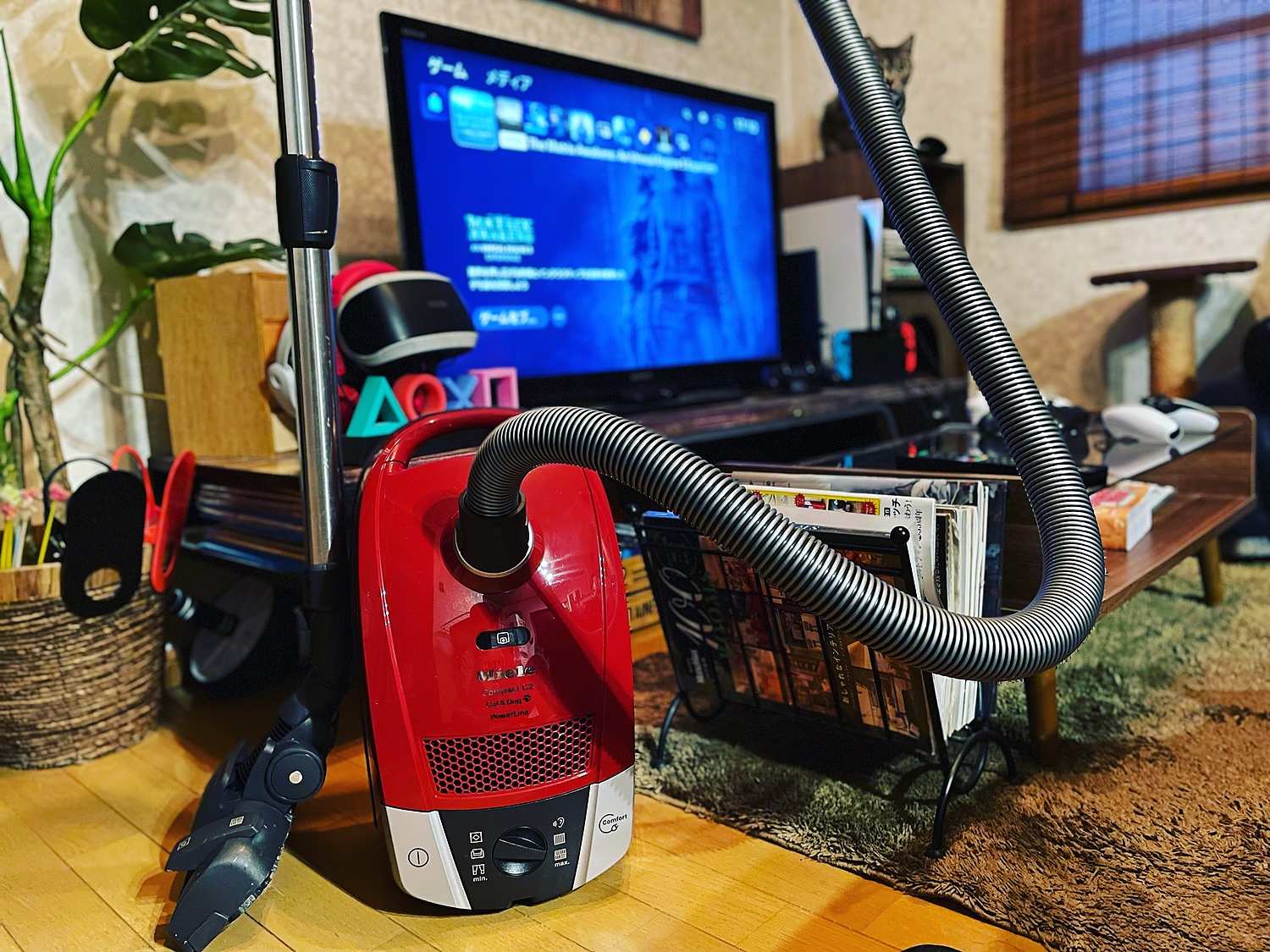 楽天市場】Miele ミーレ ダストバッグ付セット ペット用 Compact 楽天市場】Miele ミーレ ダストバッグ付セット ペット用 Compact