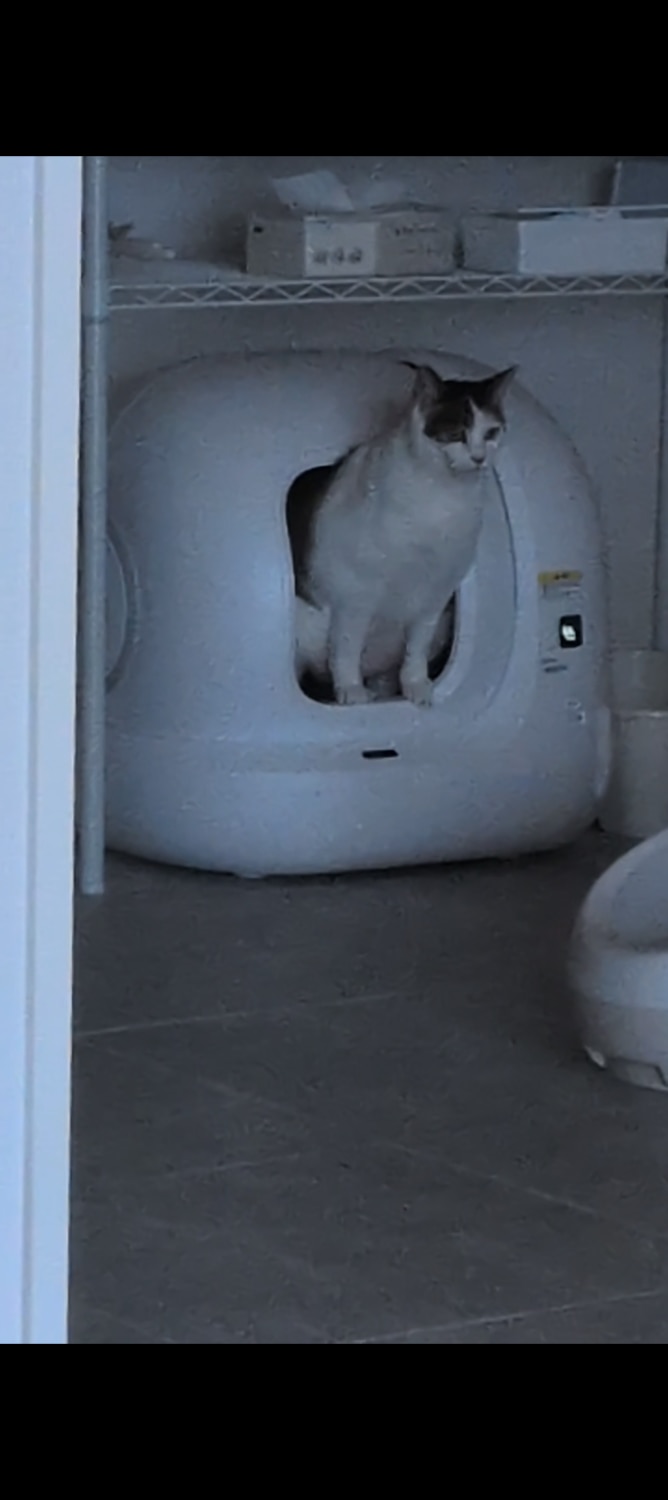 購入者レビュー写真