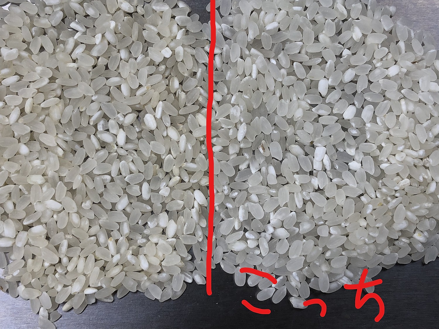 楽天市場 ふるさと納税 訳あり 阿蘇だわら 合計16kg 5kg 2袋 6kg 1袋 期間限定 増量 令和3年 緊急 支援品 コロナ支援 米 お米 おこめ 白米 精米 ブレンド米 米俵 規格外 フードロス Sdgs 熊本県 高森町 オリジナル米 国産 送料無料 熊本県高森町 みんなの