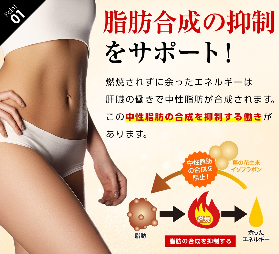 シボヘルシ 体重やお腹の脂肪を落とすダイエットサプリ内臓脂肪 皮下