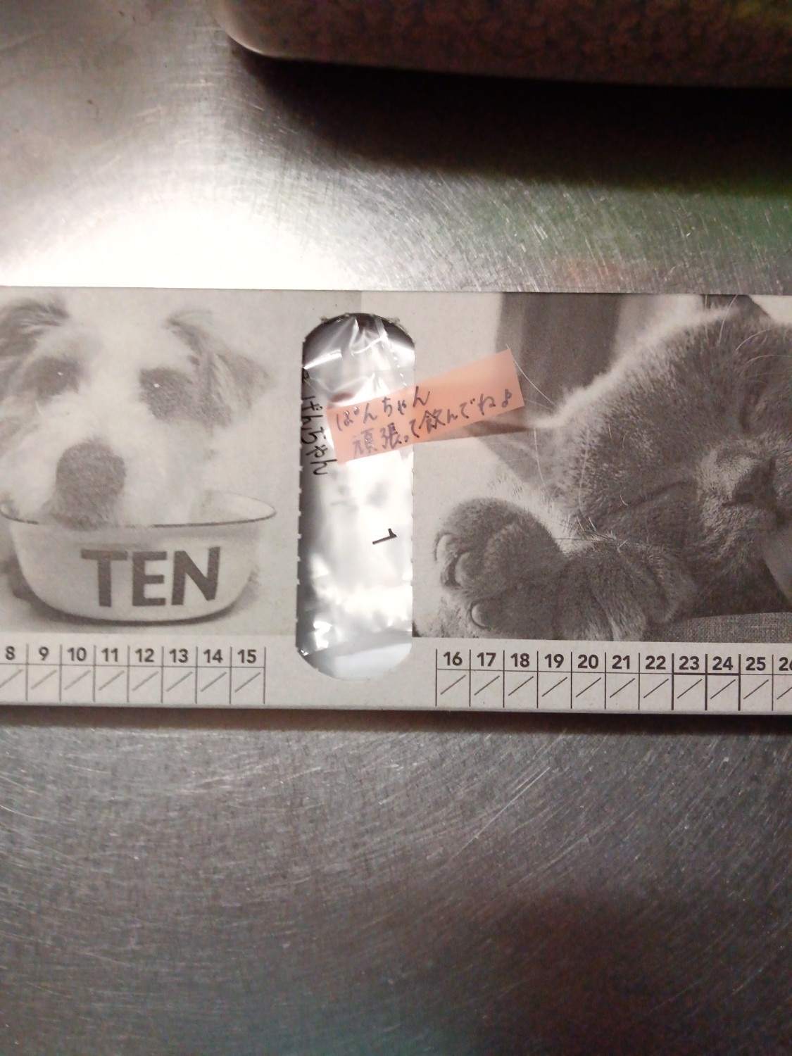 楽天市場】共立製薬 モエギキャップ 犬用 体重1kg〜19kg 1日1粒30日分