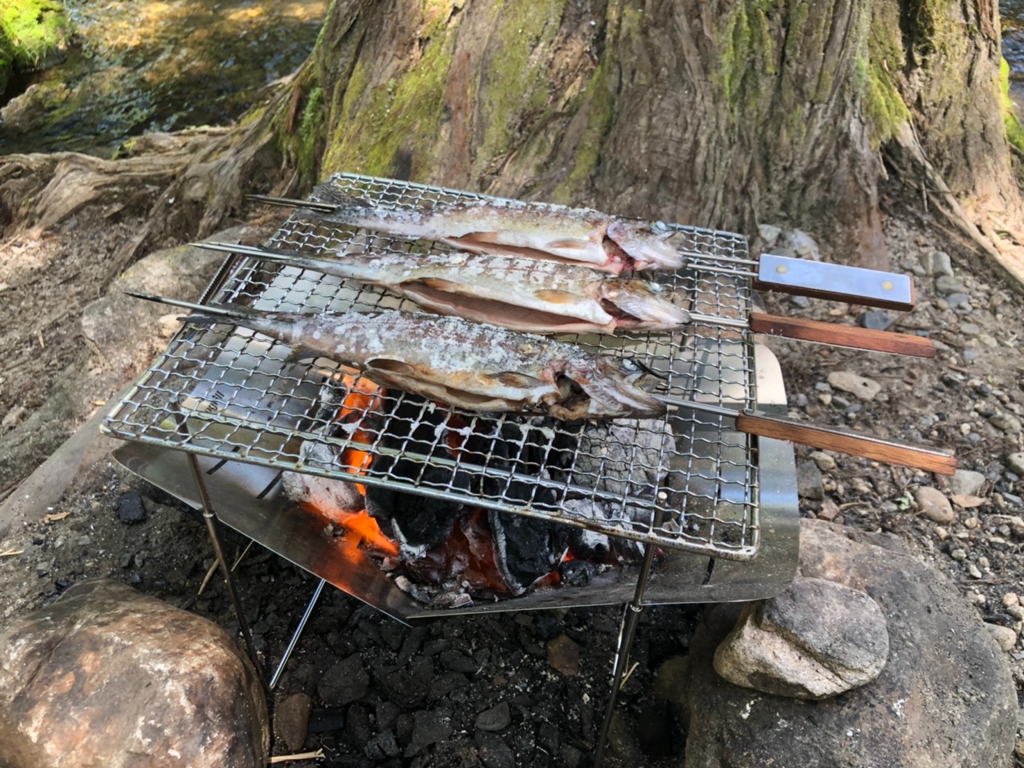 楽天市場】ピコグリル 398 Picogrill 398 スピット 2本 専用