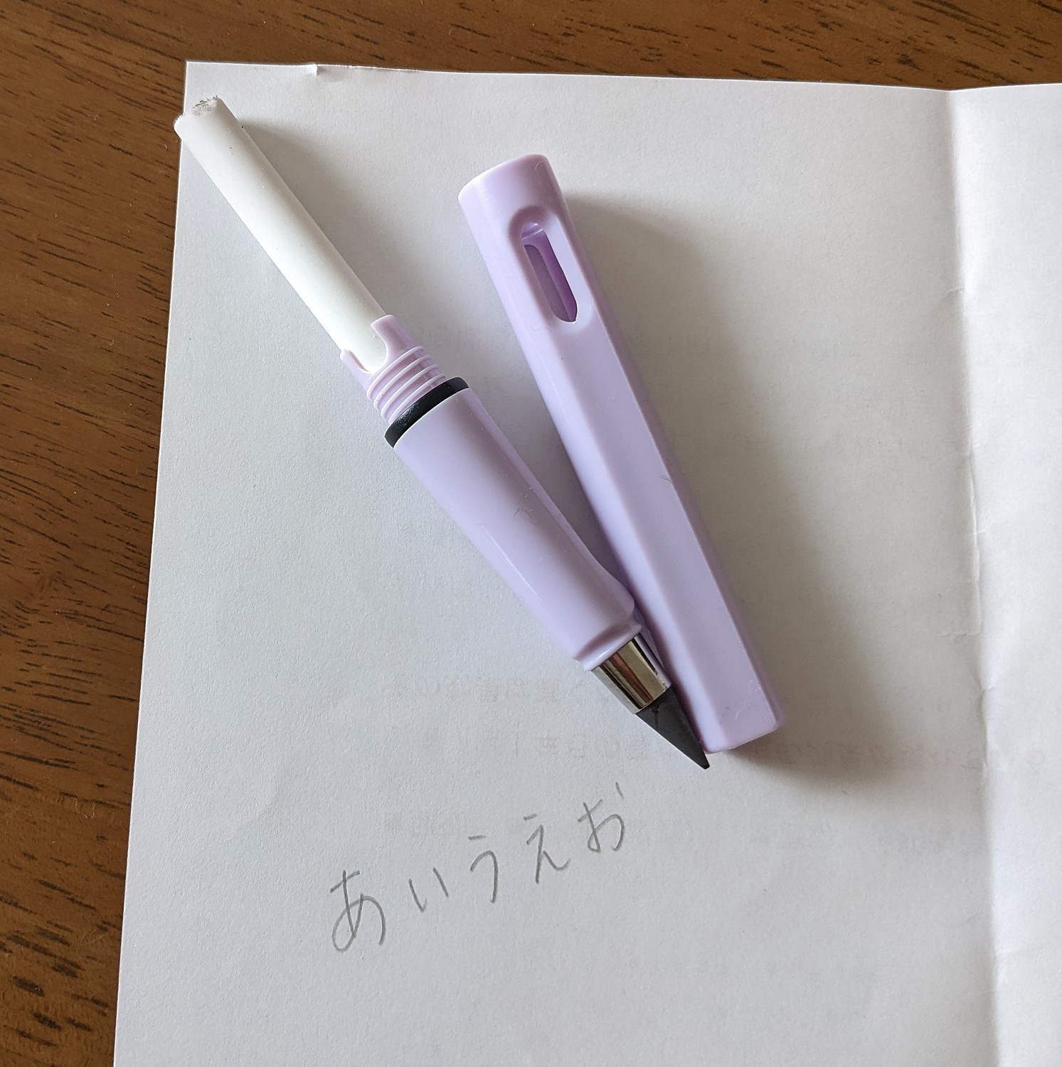 楽天市場】鉛筆 永久鉛筆 永遠の鉛筆 インクレスペン 削らない 鉛筆 HB 書き切れない インクいらないペン 芯のない鉛筆 再利用可能 送料無料 大人  キッズ 子ども えんぴつ ペン 石墨芯 消しゴム付き 卒業記念品 入学祝 就職祝 誕生日 幼稚園 ギフト プレゼント(APAAPA ...