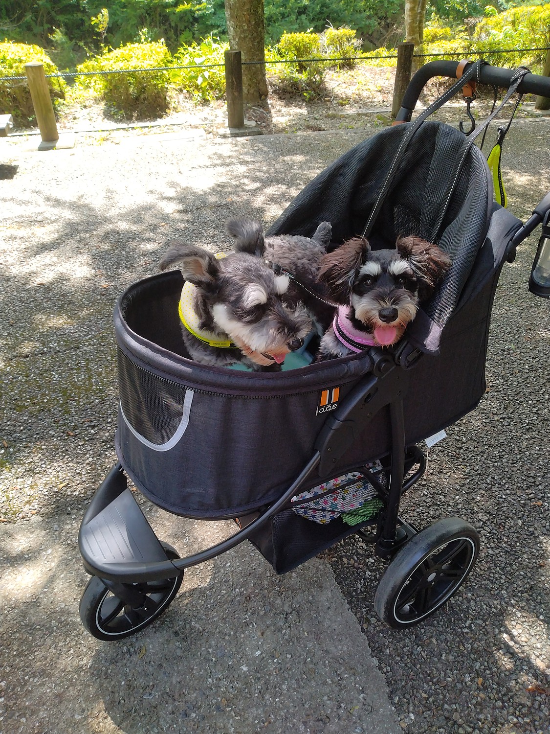 ドイツのおしゃれブランド MY DUQUE Cooper ペットキャリー ドッグカート ペットキャリー ペットカート 多頭 老犬介護 バギー  フルカバー 小型犬 中型犬 多頭 犬 猫 犬用 猫用 折りたたみ おしゃれ 可愛い 色ブラック