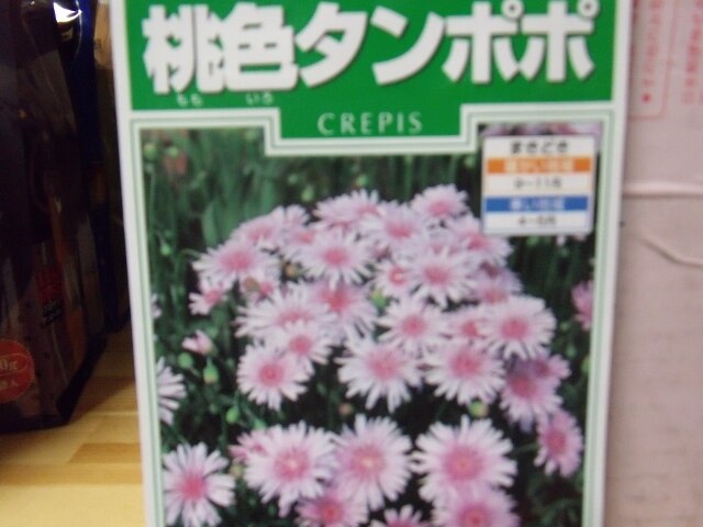 楽天市場 タンポポに似た可愛い花 種子 桃色タンポポ クレピス ピンクサカタのタネ Ivy みんなのレビュー 口コミ