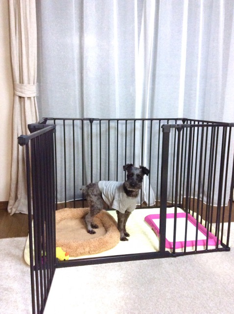 楽天市場】【犬 サークル】小型・中型犬用サークル ペットケージ 