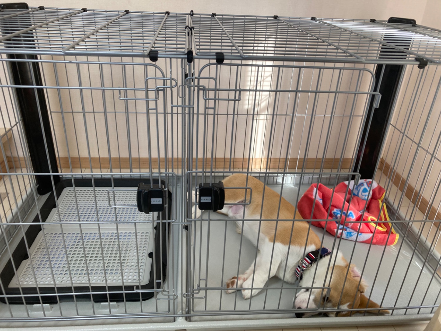 【送料込】アドメイト ヴィラフォートサークル ワイド 犬 ケージ Amazon.co.jp: アドメイト (ADD. MATE) ヴィラフォートサークル