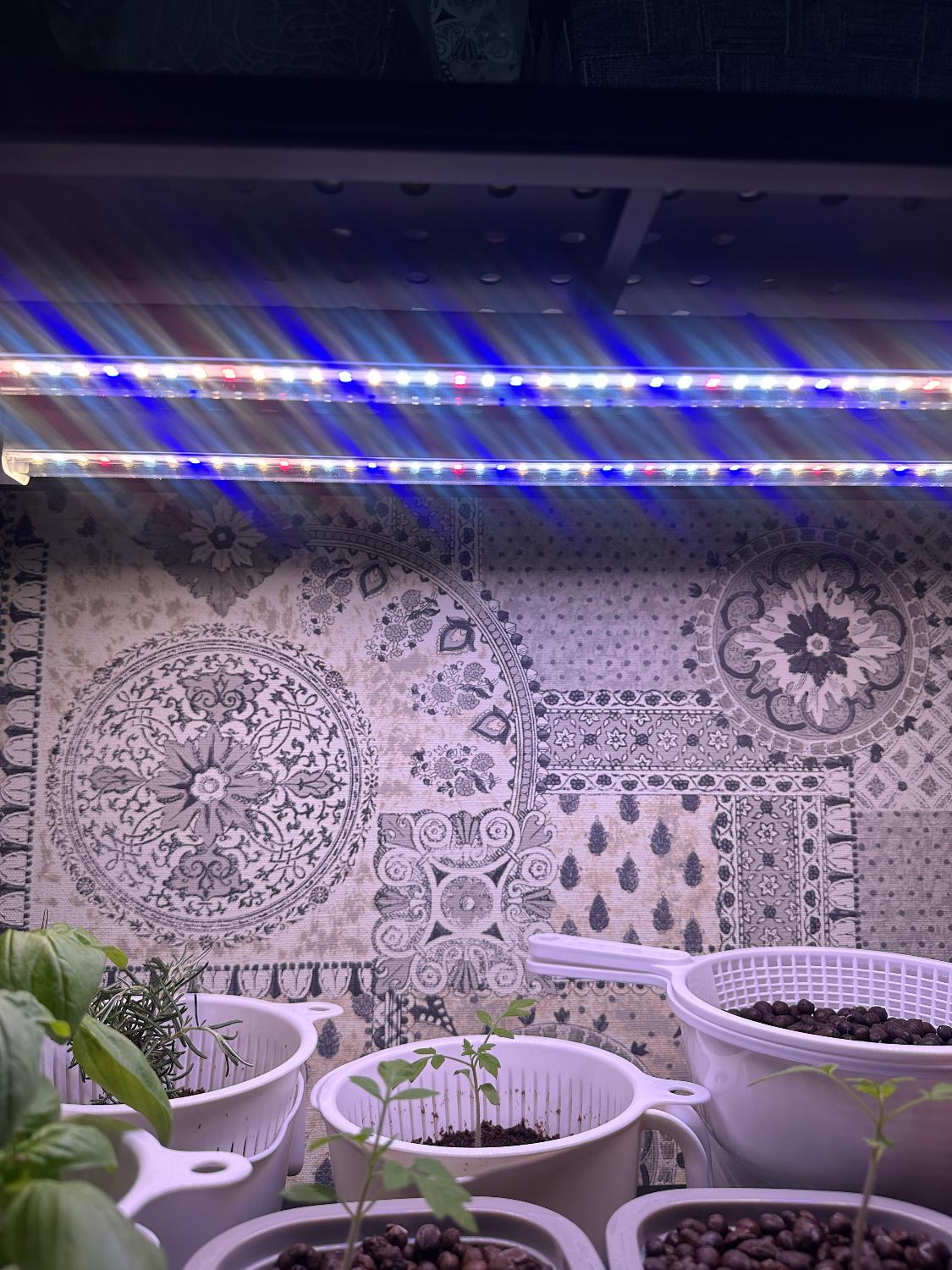楽天市場】HaruDesign 植物育成ライト GL-T5 L530 18Wx2本 サムスン