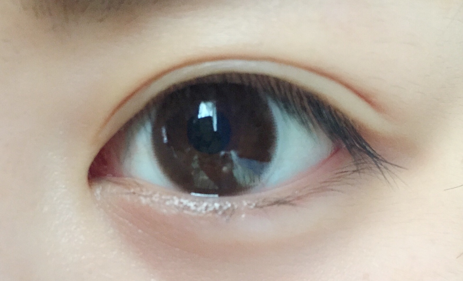 楽天市場 アイメイク Eyemake 1箱2枚入り 送料無料 1ヶ月 度なし 度あり 度入り カラコン カラーコンタクト マンスリー ナチュラル マンスリーカラコン ワンマンス カラコン送料無料 自然 クイーンアイズ楽天市場店 3ページ目 みんなのレビュー 口コミ 楽天市場 アイメイク Eyemake 1箱2枚入り 送料無料 1ヶ月 度なし 度あり 度入り カラコン カラーコンタクト マンスリー ナチュラル マンスリーカラコン ワンマンス カラコン送料無料 自然 クイーンアイズ楽天市場店 3ページ目 みんなのレビュー 口コミ