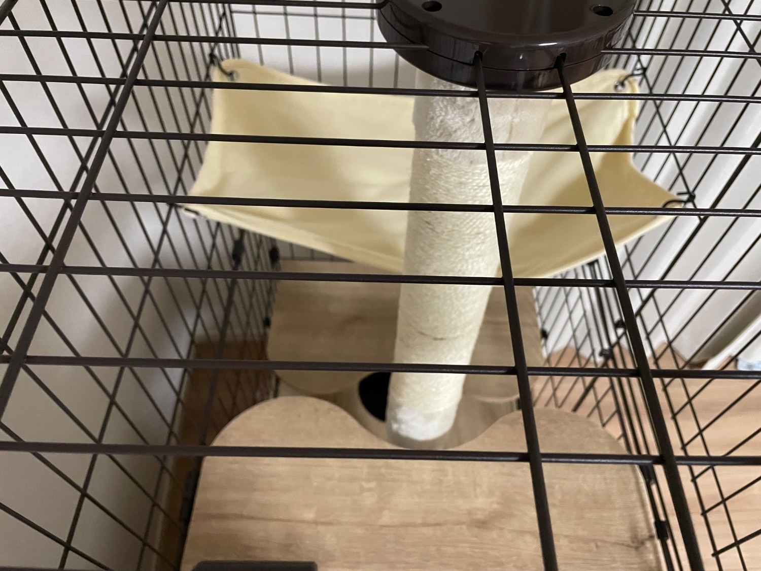 購入者レビュー写真