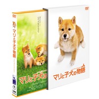 (未使用･未開封品)　マリと子犬の物語 スタンダード・エディション [DVD] ar3p5n1 Amazon.co.jp: マリと子犬の物語スペシャル・エディション(2枚組