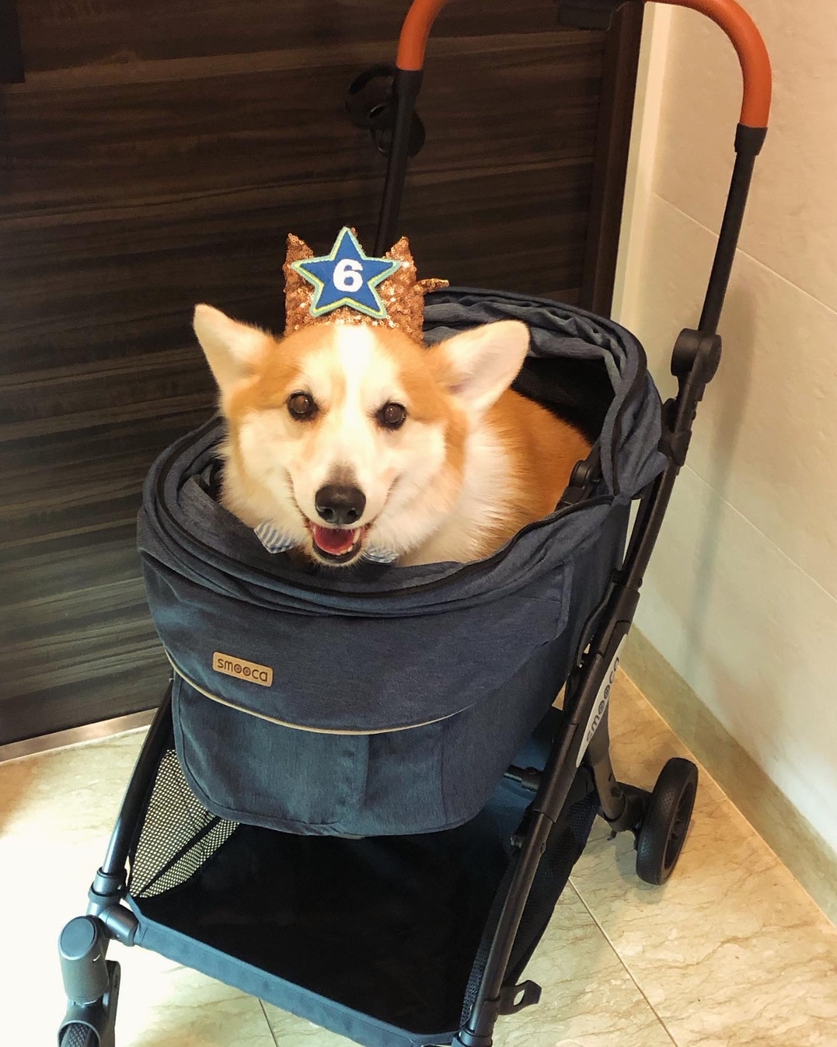 楽天市場】ペットカート 犬 カート smooca ネオ ワンロック デニム